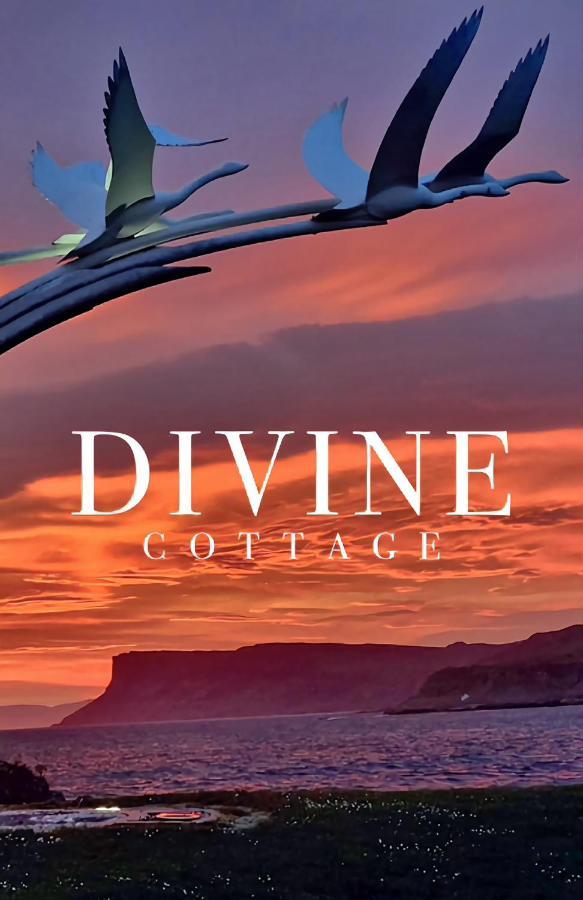 Divine Cottage 巴利卡斯尔 外观 照片
