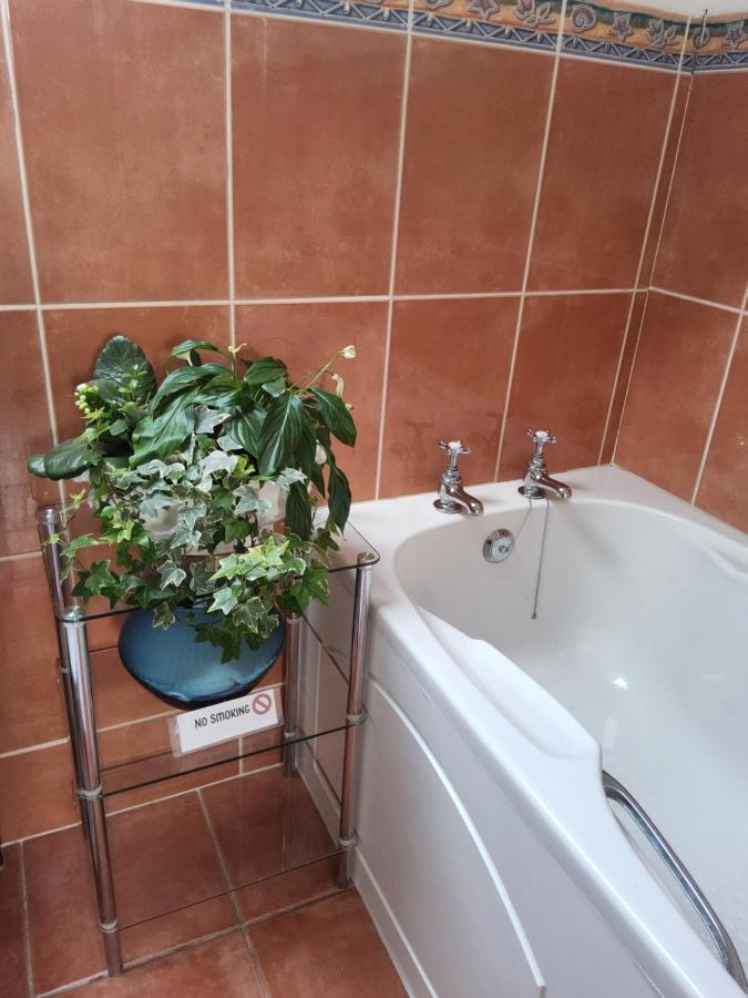 Divine Cottage 巴利卡斯尔 外观 照片